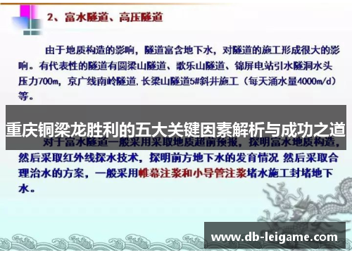 重庆铜梁龙胜利的五大关键因素解析与成功之道