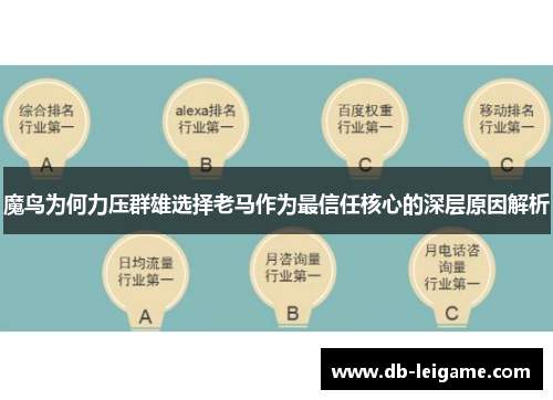 魔鸟为何力压群雄选择老马作为最信任核心的深层原因解析