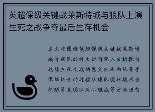 英超保级关键战莱斯特城与狼队上演生死之战争夺最后生存机会