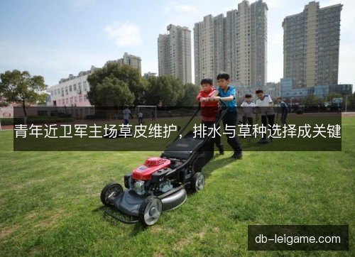 青年近卫军主场草皮维护,排水与草种选择成关键 青年近卫军主场草皮维护,排水与草种选择成关键